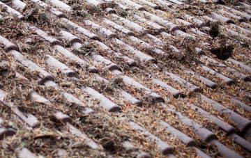 High Shaw roof cleaning companies