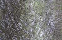 High Shaw fibreglass roof work